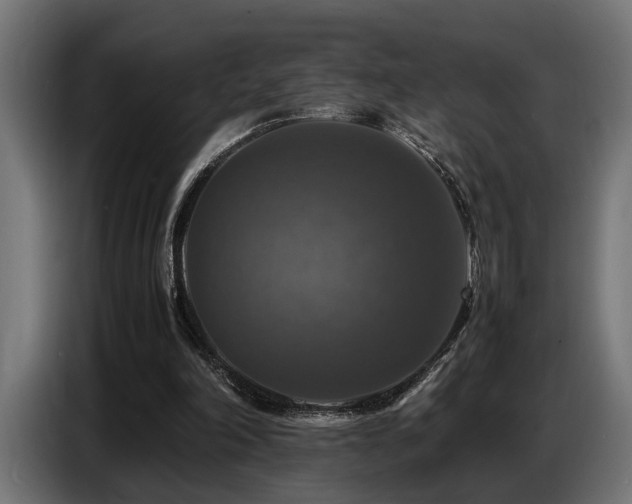 X0000087710198200705041104