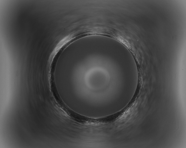 X0000087710199200705041104