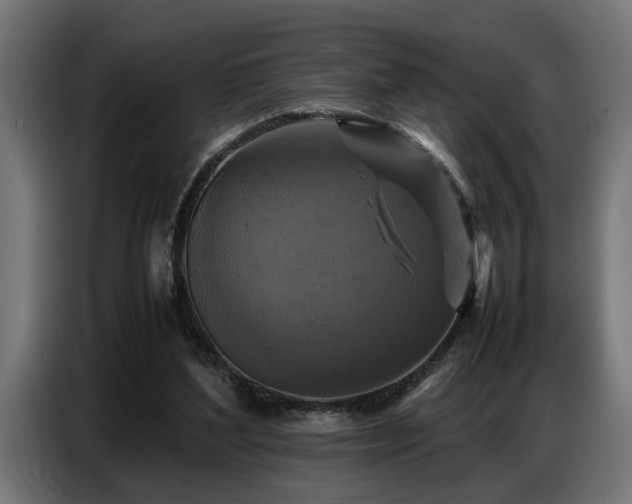 X0000087710204200705041104