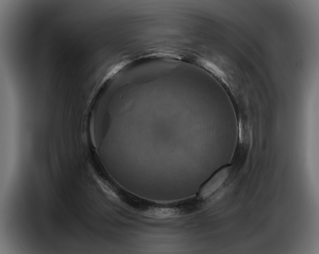 X0000087710205200705041104