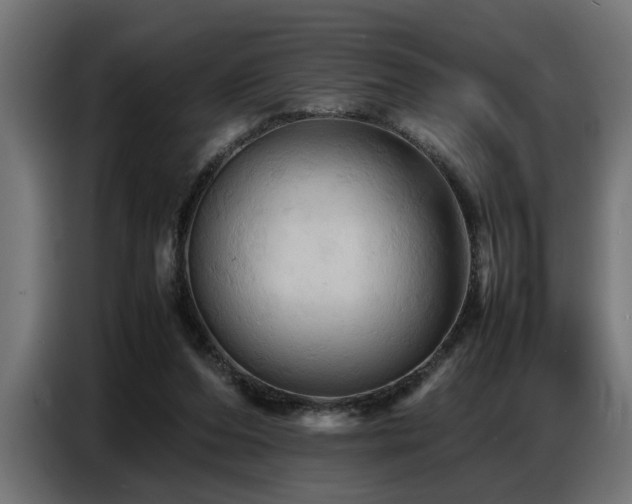 X0000087710208200705041104