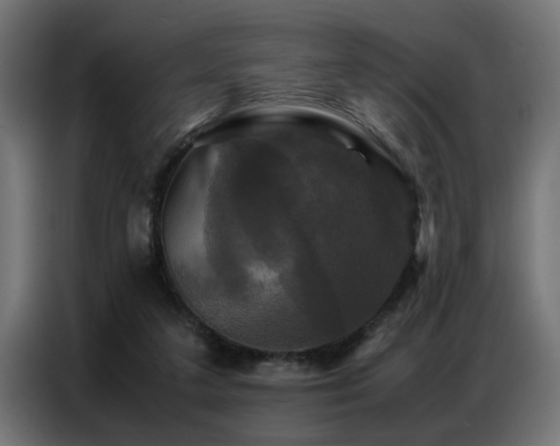 X0000087710211200705041104