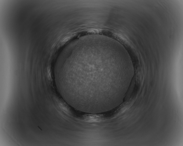 X0000087710229200705041104