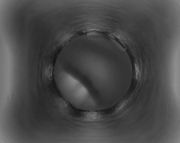 X0000087710230200705041104