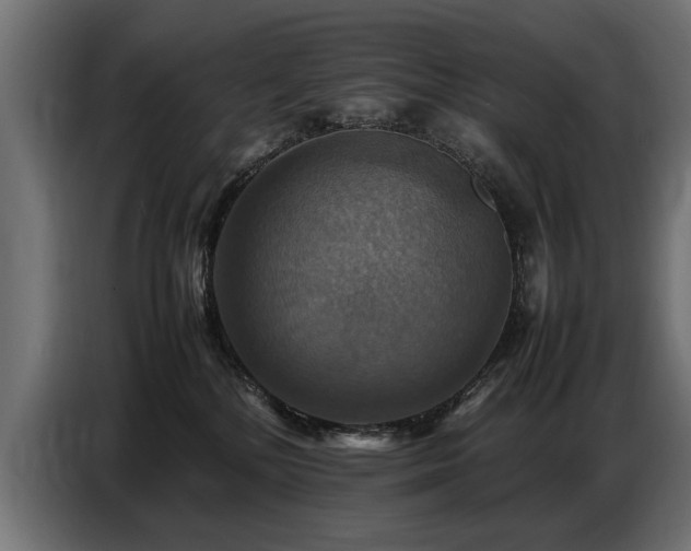 X0000087710232200705041104