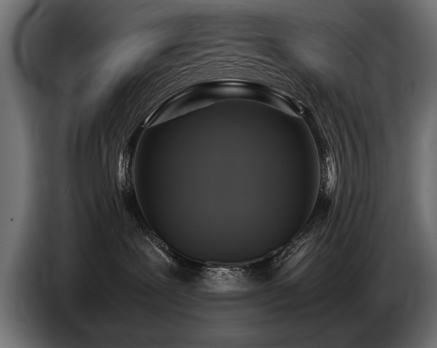 X0000087710239200705041104