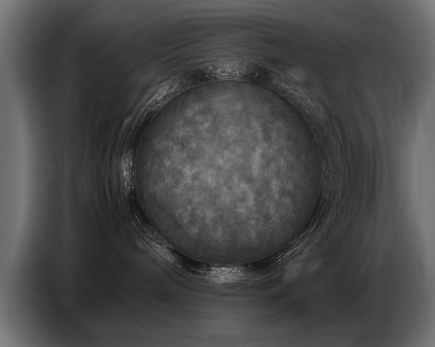 X0000087710240200705041104