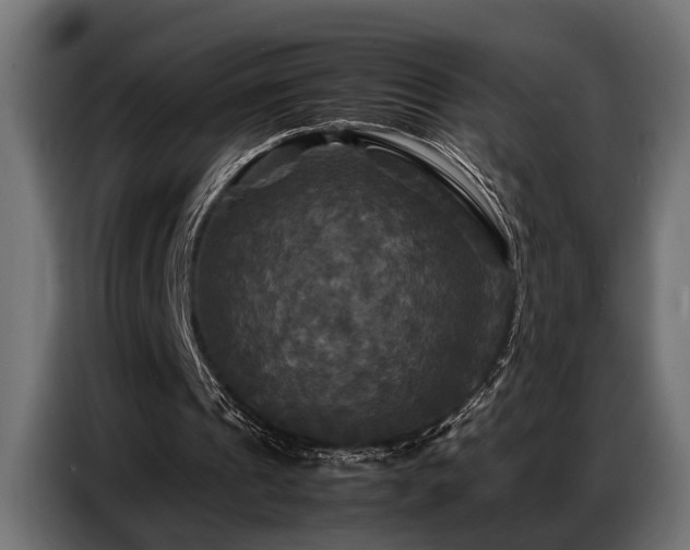 X0000087710241200705041103