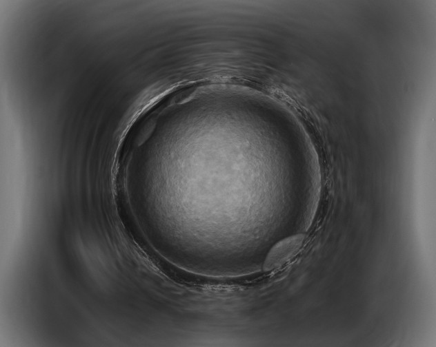 X0000087710242200705041103