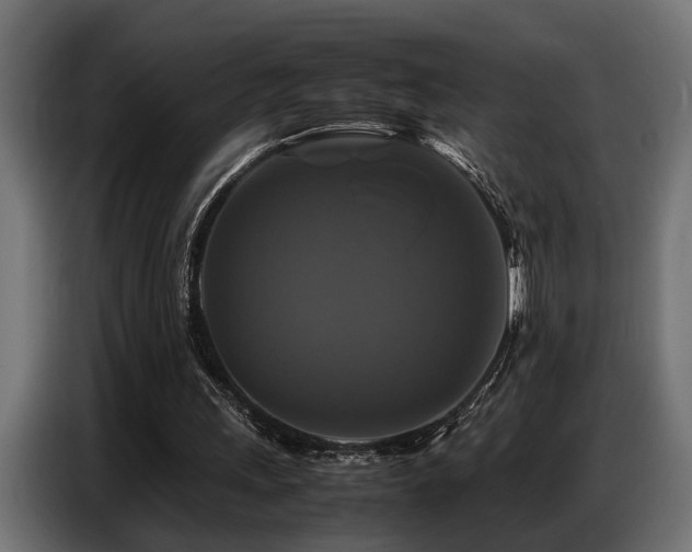 X0000087710243200705041103