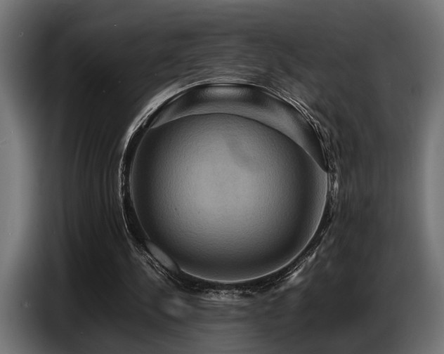 X0000087710244200705041103