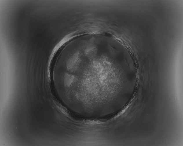 X0000087710246200705041103
