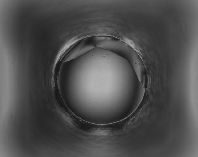X0000087710248200705041103