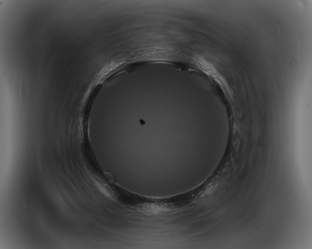 X0000087710250200705041104