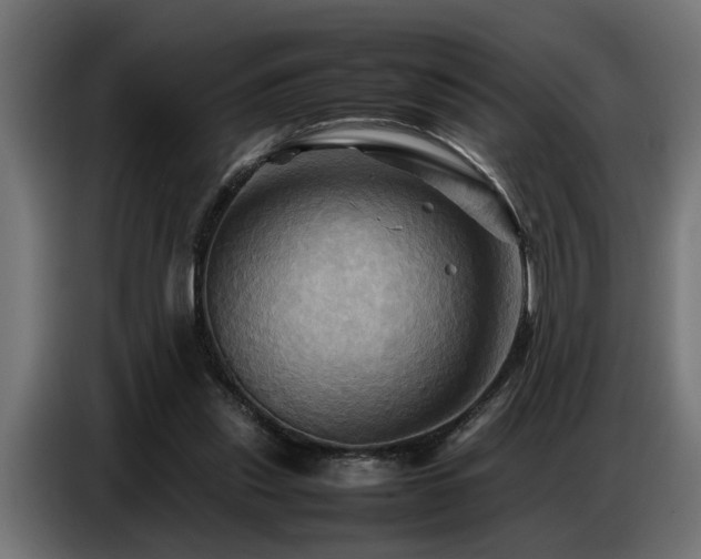 X0000087710253200705041104