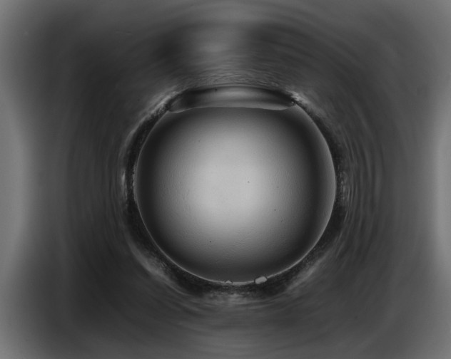 X0000087710254200705041104
