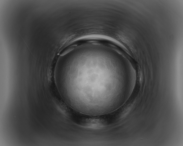 X0000087710255200705041104