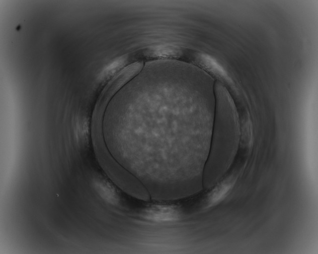 X0000087710260200705041104