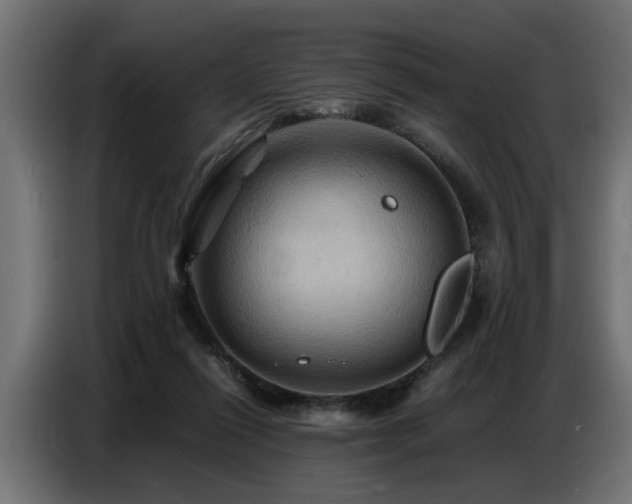 X0000087710262200705041104