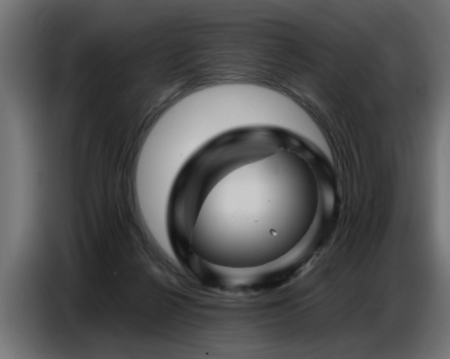 X0000087710264200705041104