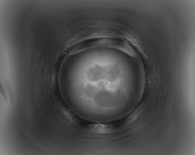 X0000087710265200705041104