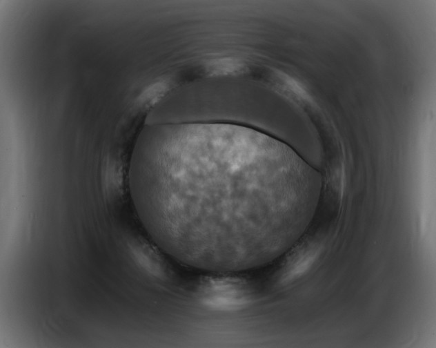 X0000087710268200705041104