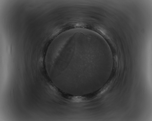 X0000087710269200705041104