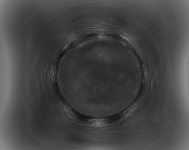 X0000087710273200705041104