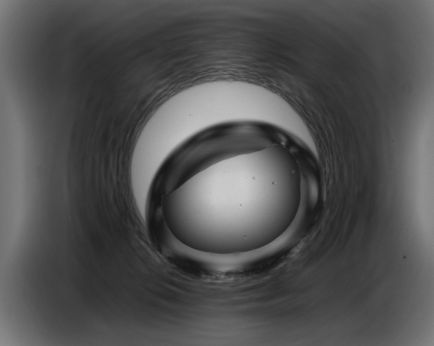 X0000087710276200705041104
