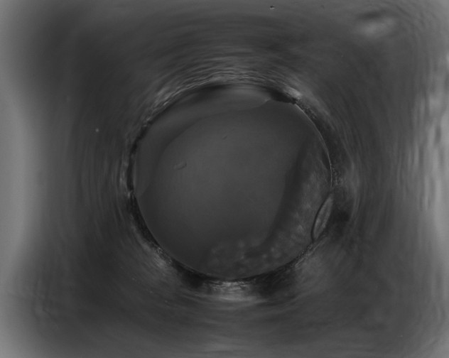 X0000087710277200705041104