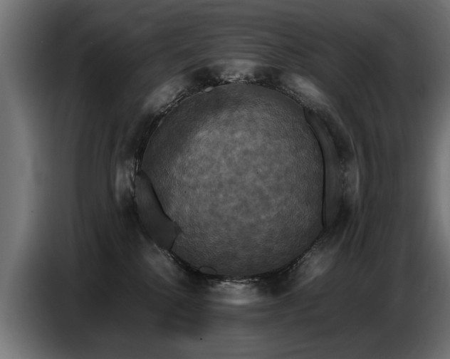 X0000087710280200705041104
