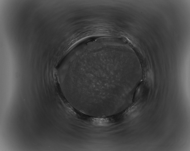 X0000087710281200705041104