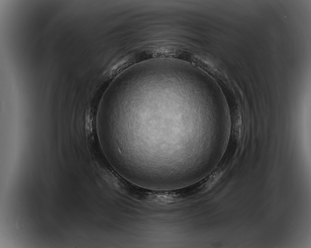 X0000087710282200705041104