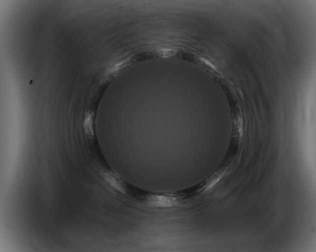 X0000087710286200705041104