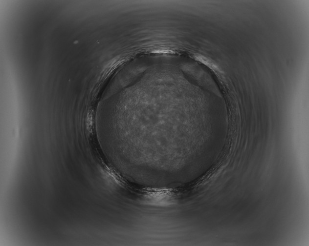 X0000087710288200705041104