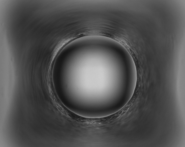 X0000087710289200705041103