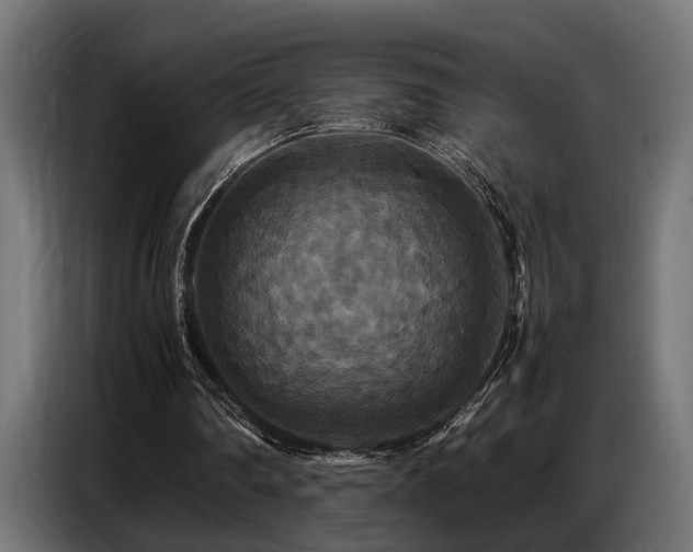 X0000087710290200705041103