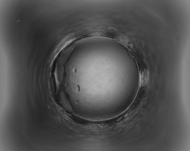 X0000087710291200705041103