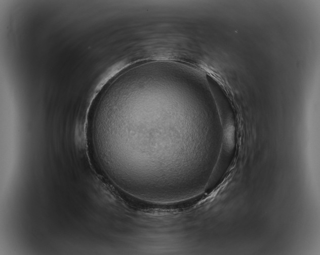 X0000087710292200705041103