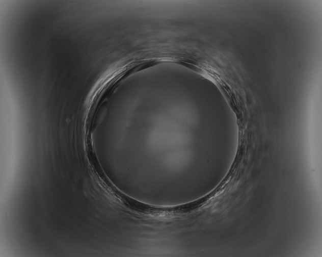X0000087710293200705041103