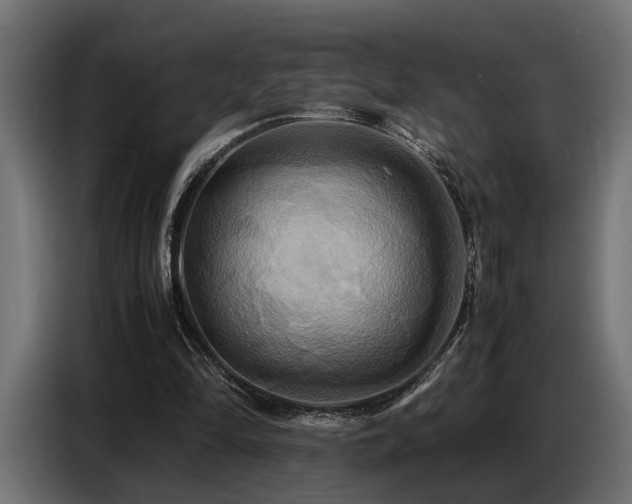 X0000087710294200705041103