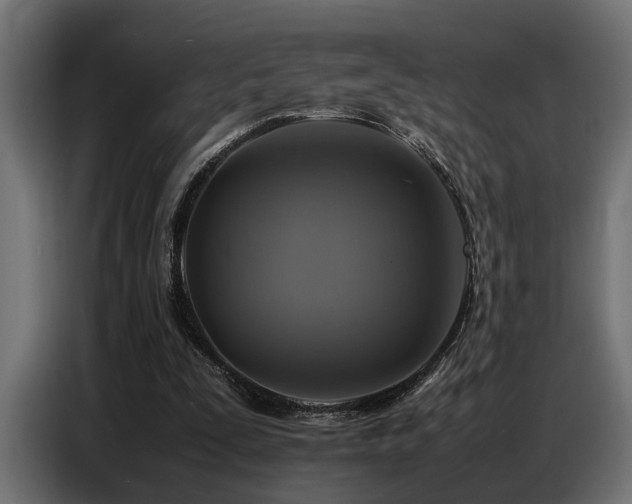 X0000087710295200705041103