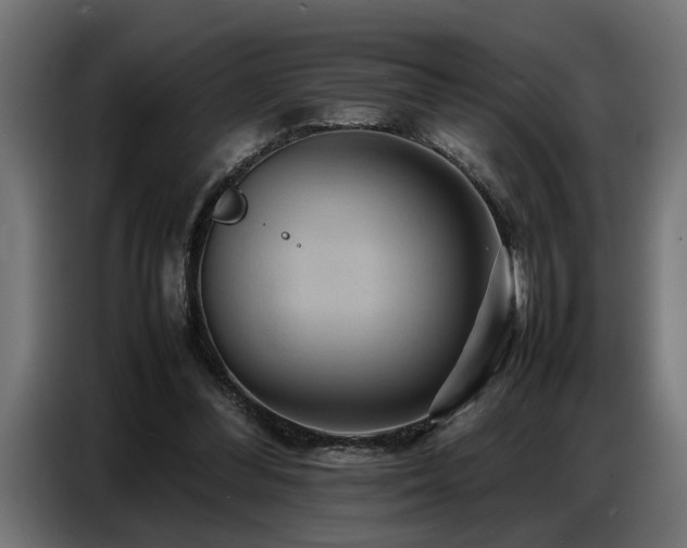 X0000087710300200705041103
