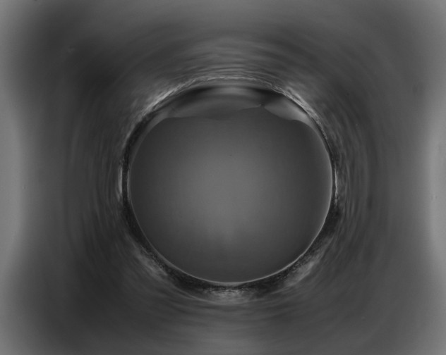 X0000087710301200705041103