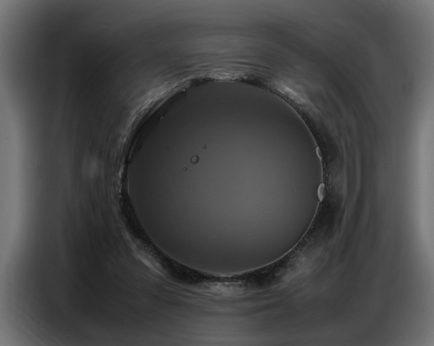 X0000087710303200705041103