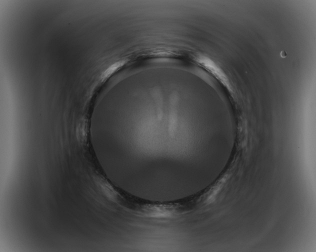 X0000087710305200705041103