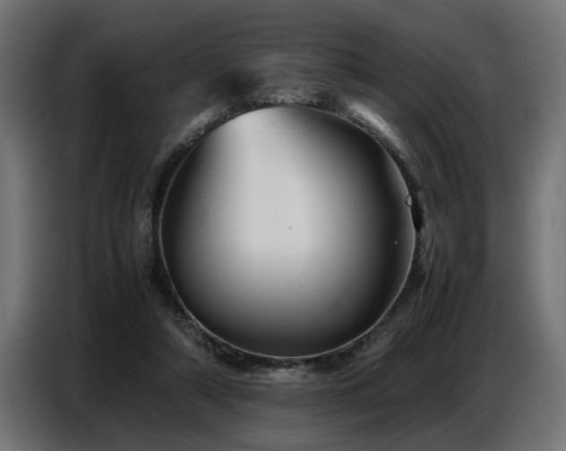 X0000087710306200705041103