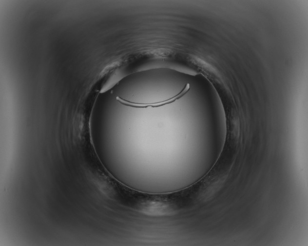 X0000087710308200705041103