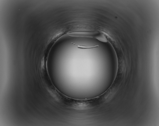 X0000087710310200705041103