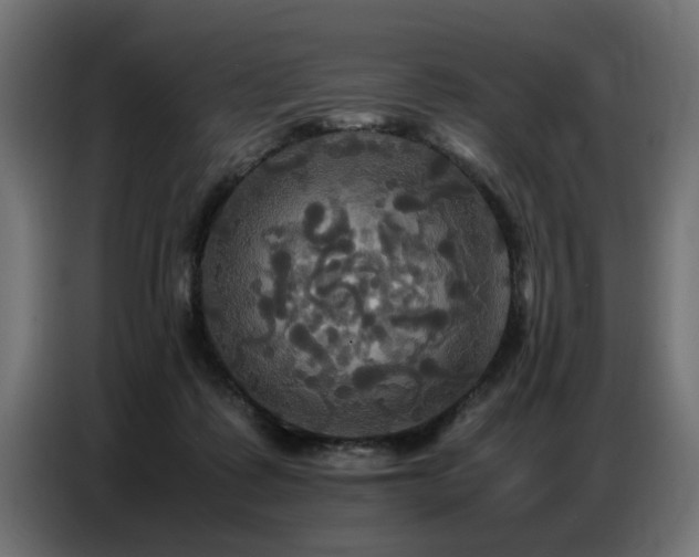 X0000087710315200705041103